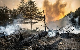 Оценка ущерба после стихийного бедствия в Магнитогорске: отчет оценщика